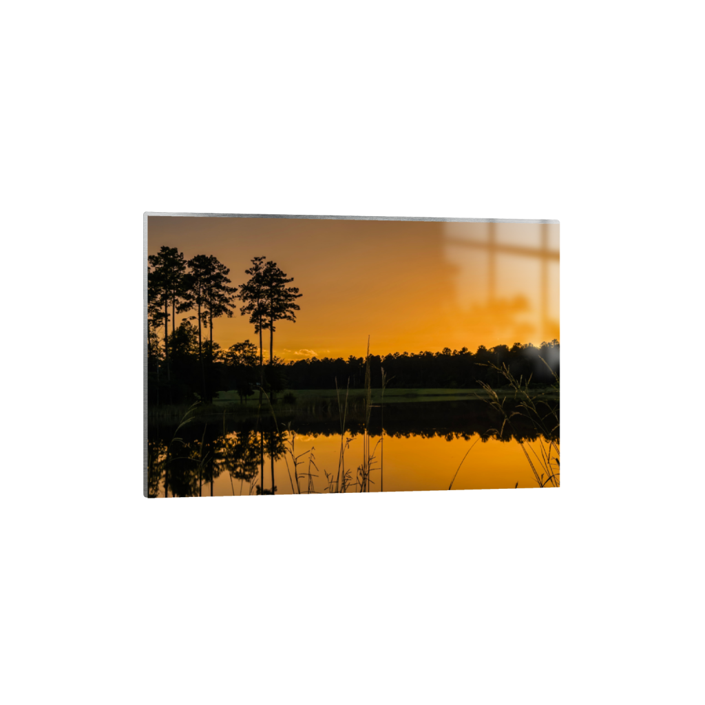 ptq_13_3_313_0_3387_2258_0_false_ffffff_0_0_.png