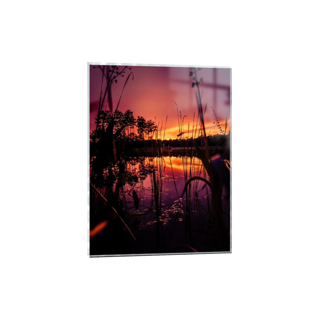 ptq_17_5_0_0_3024_4032_0_false_ffffff_0_0_.png