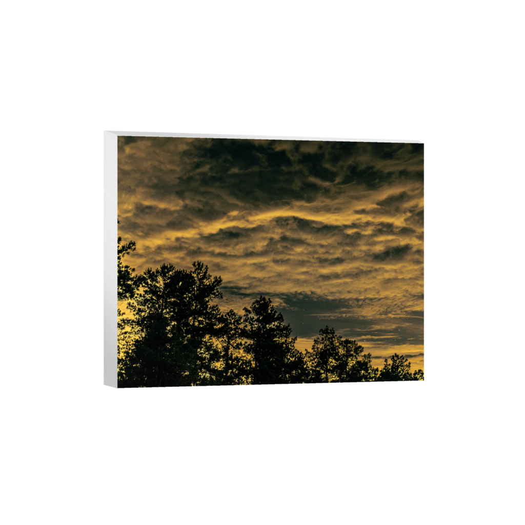 ptq_7_6_1410_0_6682_5346_0_false_ffffff_0_0_.png