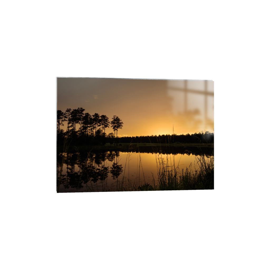 ptq_13_7_427_0_3171_2265_0_false_ffffff_0_0_.png