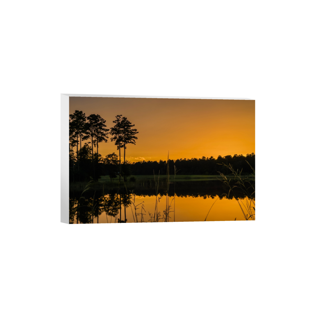 ptq_7_3_313_0_3387_2258_0_false_ffffff_0_0_.png