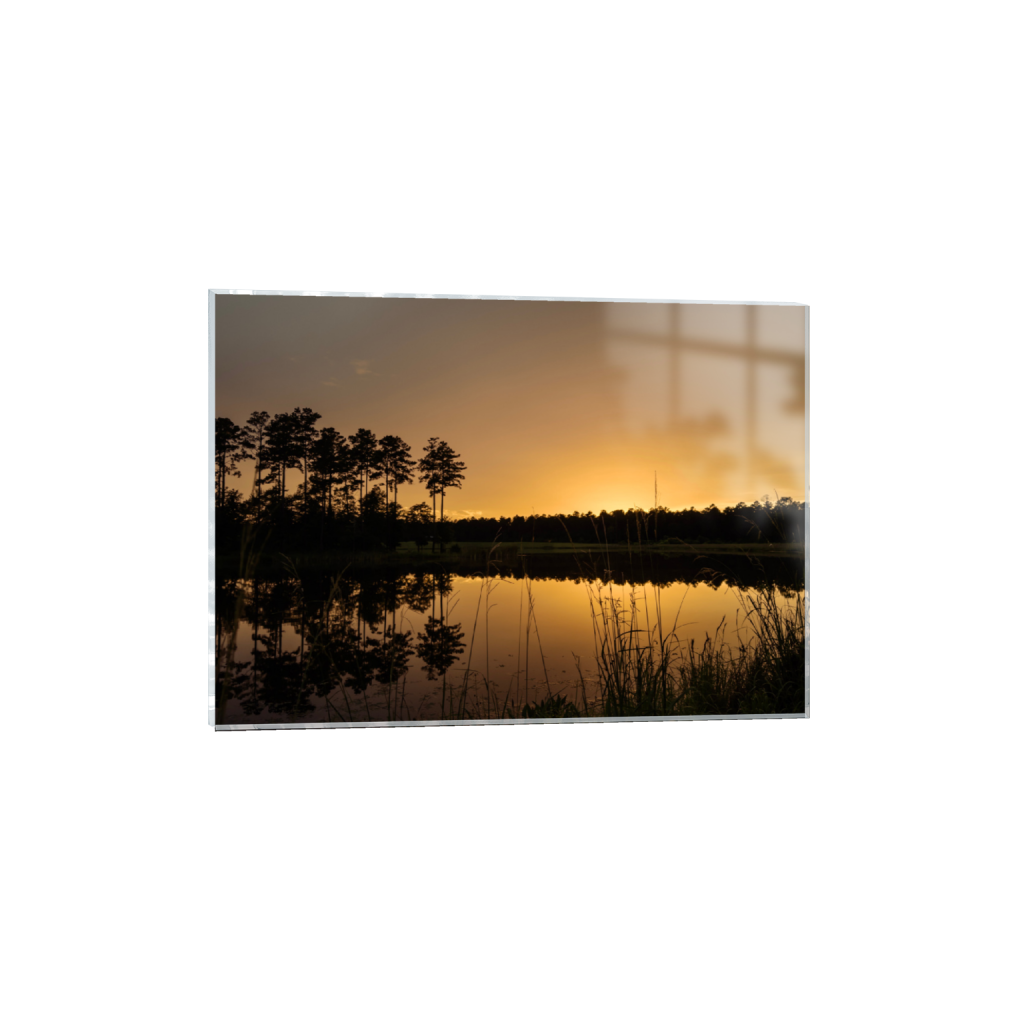 ptq_17_7_427_0_3171_2265_0_false_ffffff_0_0_.png