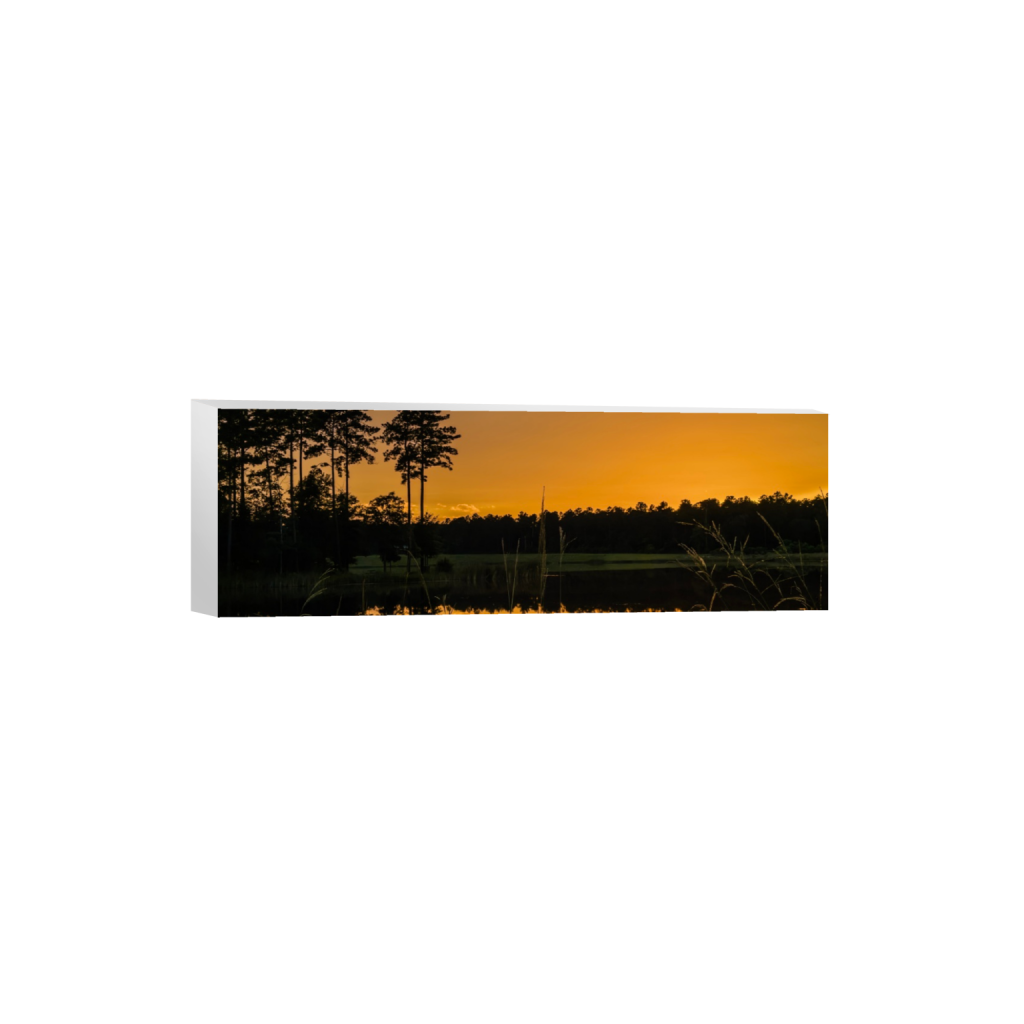 ptq_7_2_0_460_4014_1338_0_false_ffffff_0_0_.png