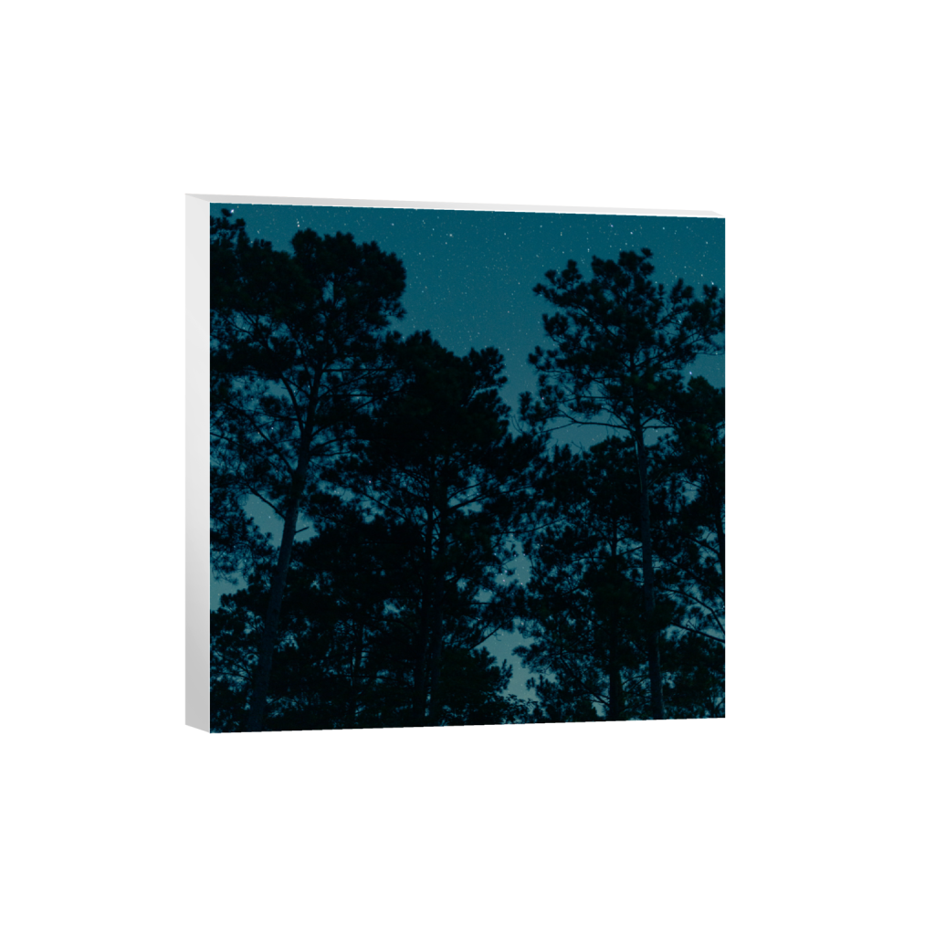 ptq_7_0_0_1584_6336_6336_0_false_ffffff_0_0_.png