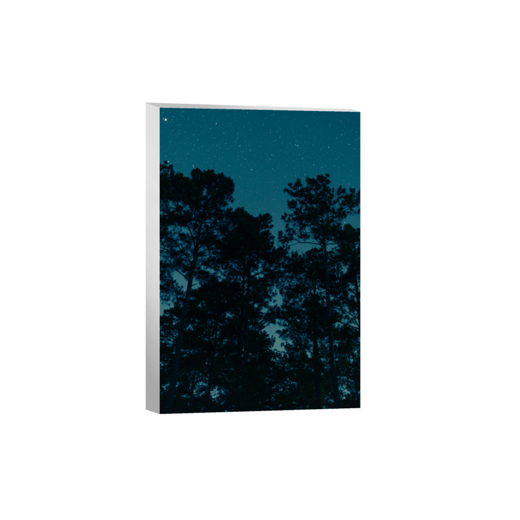 ptq_7_3_0_0_6336_9504_0_false_ffffff_0_0_.png