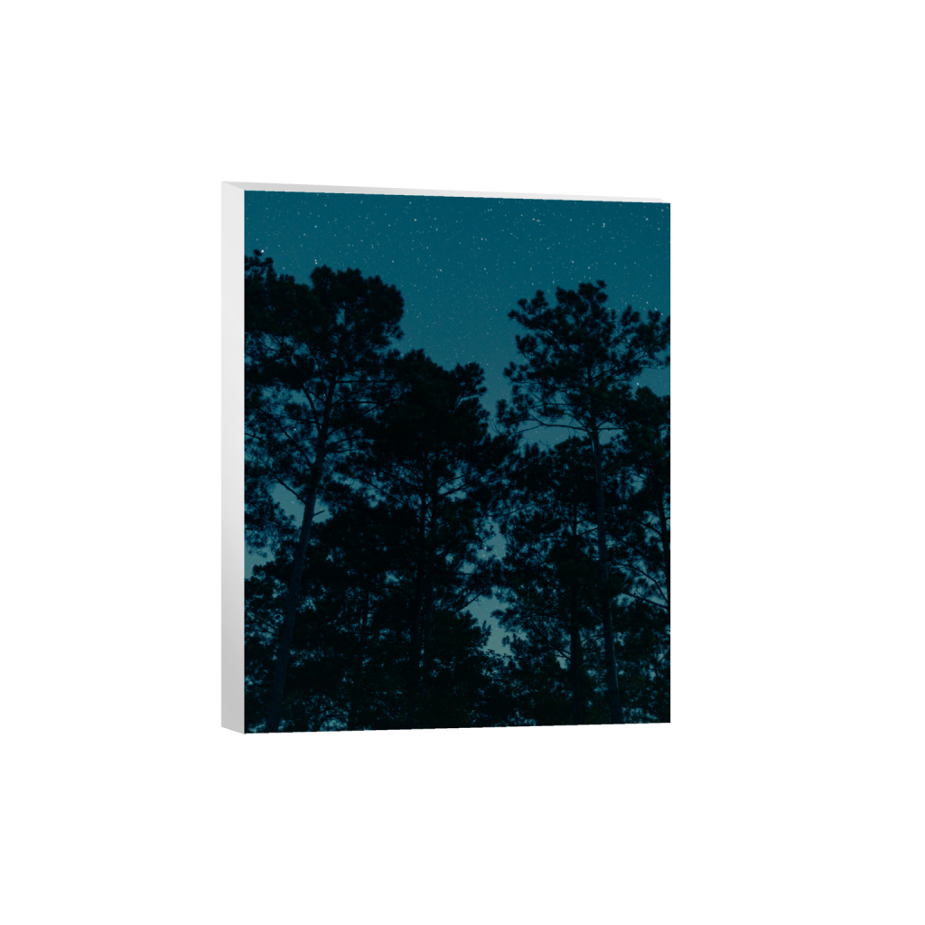 ptq_7_6_0_792_6336_7920_0_false_ffffff_0_0_.png