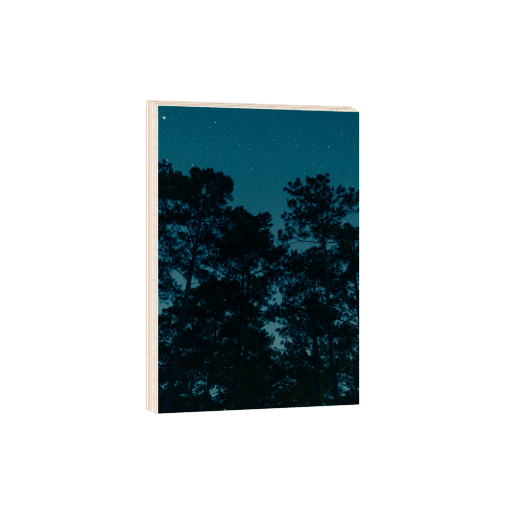 ptq_29_3_0_0_6336_9504_0_false_ffffff_0_0_.png