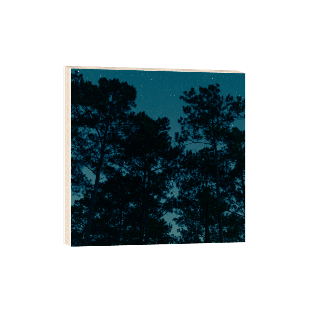 ptq_29_0_0_1584_6336_6336_0_false_ffffff_0_0_.png