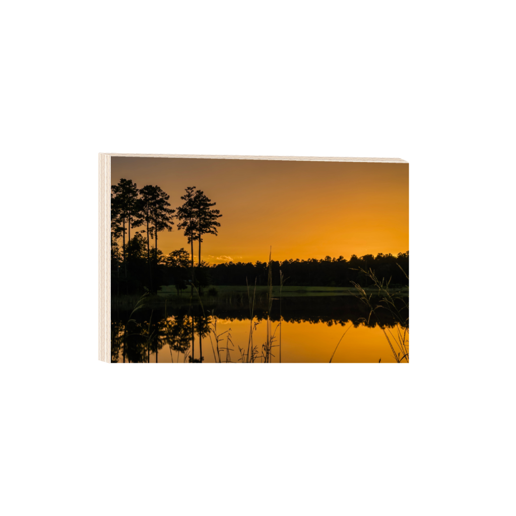 ptq_29_3_313_0_3387_2258_0_false_ffffff_0_0_.png