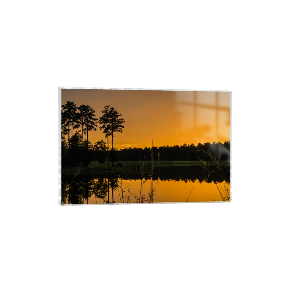 ptq_17_3_313_0_3387_2258_0_false_ffffff_0_0_.png