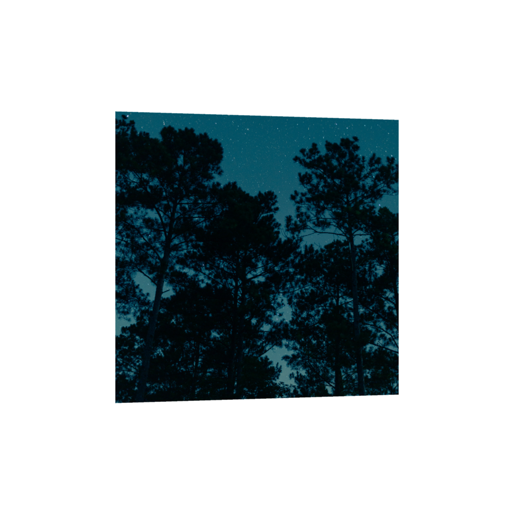 ptq_1_0_0_1584_6336_6336_0_false_ffffff_0_0_.png