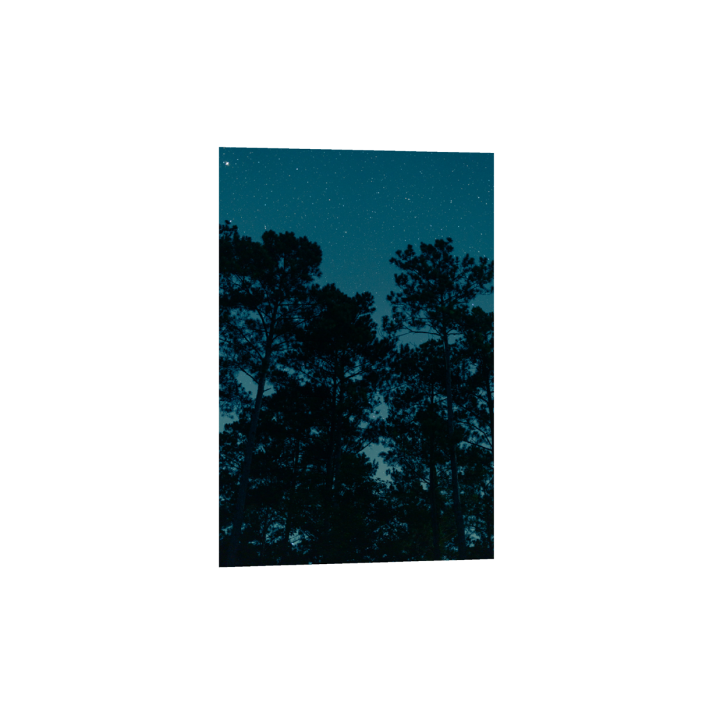 ptq_1_3_0_0_6336_9504_0_false_ffffff_0_0_.png