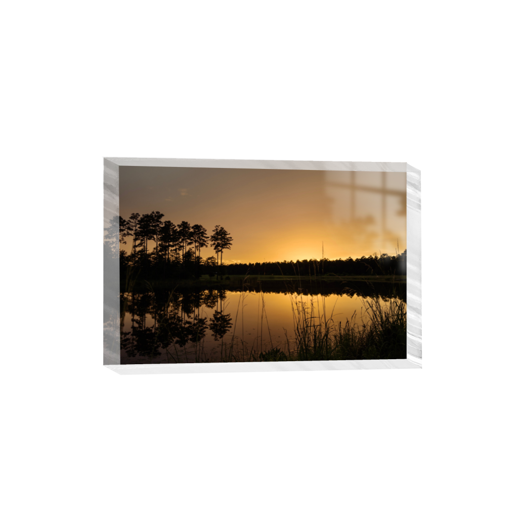 ptq_300_3_314_0_3397_2265_0_false_ffffff_0_0_.png