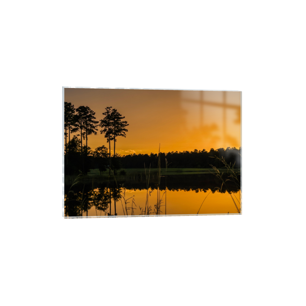 ptq_17_7_426_0_3161_2258_0_false_ffffff_0_0_.png