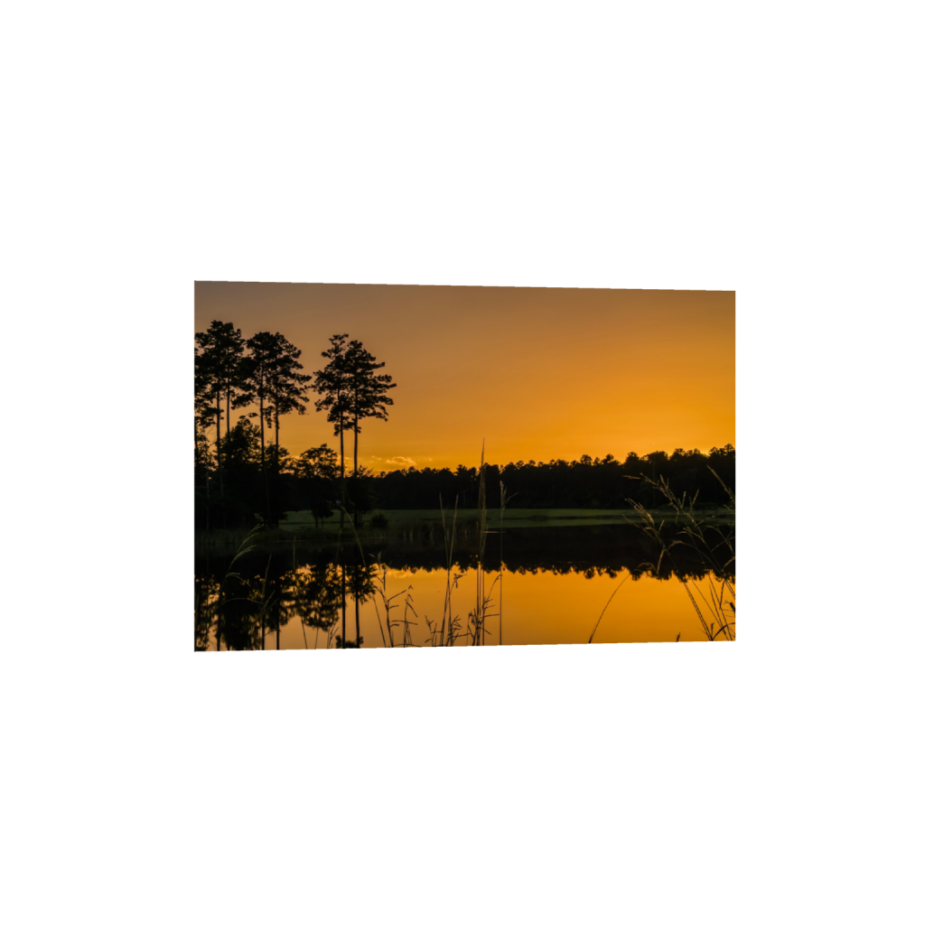 ptq_34_3_313_0_3387_2258_0_false_ffffff_0_0_.png