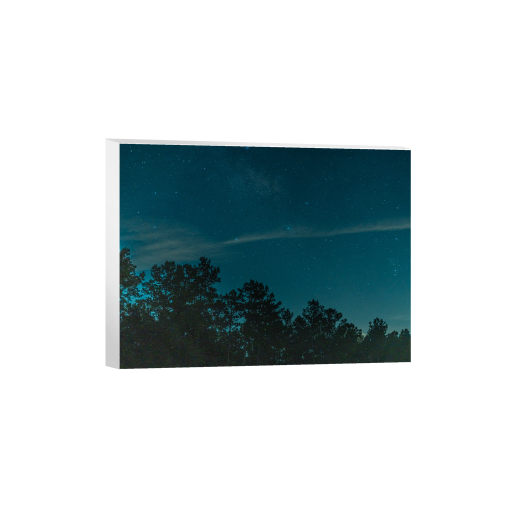 ptq_7_5_528_0_8448_6336_0_false_ffffff_0_0_.png