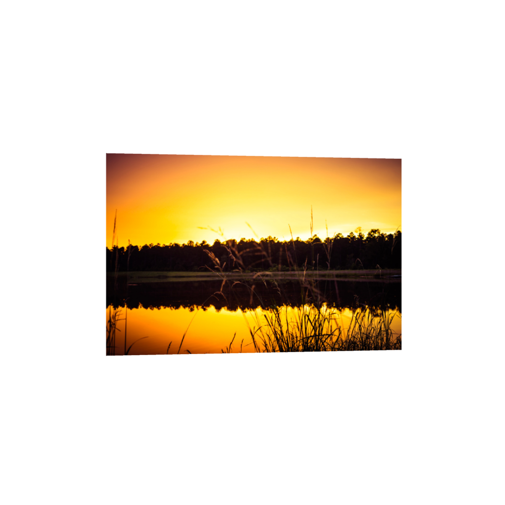 ptq_34_3_742_0_8019_5346_0_false_ffffff_0_0_.png