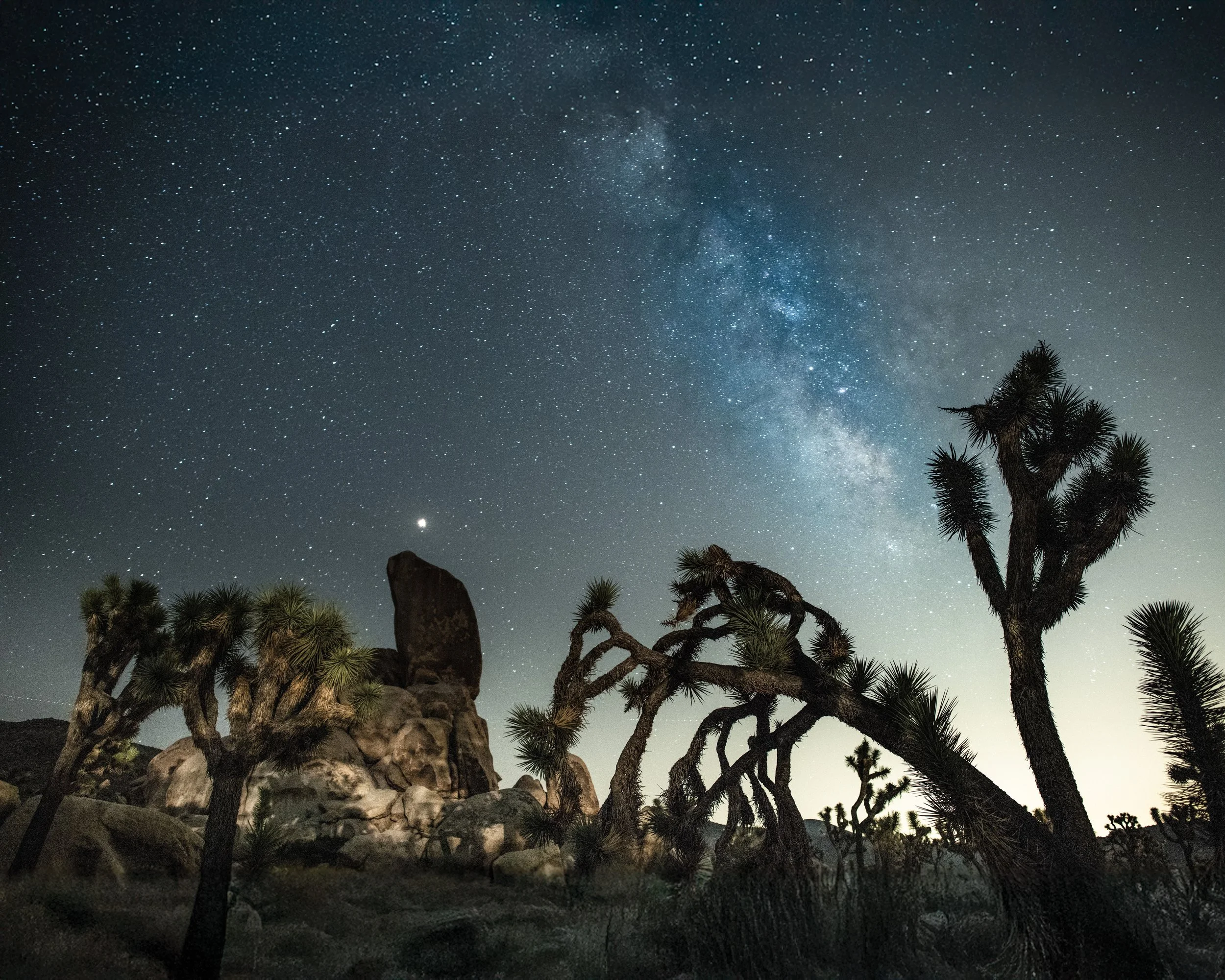 DSC_3314 Desert Reverie.jpg