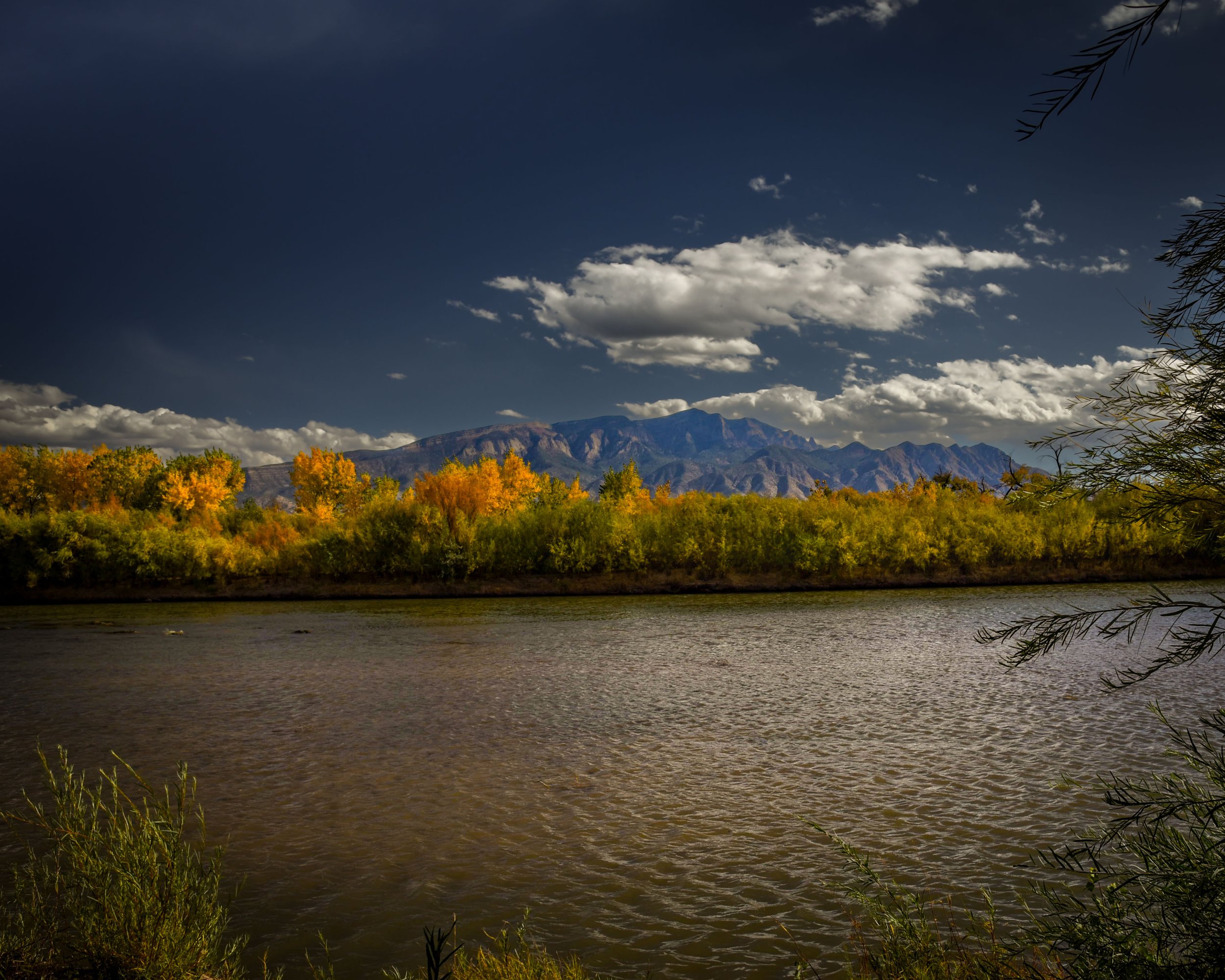 DSC_2330 Autumn Riverbank.jpeg