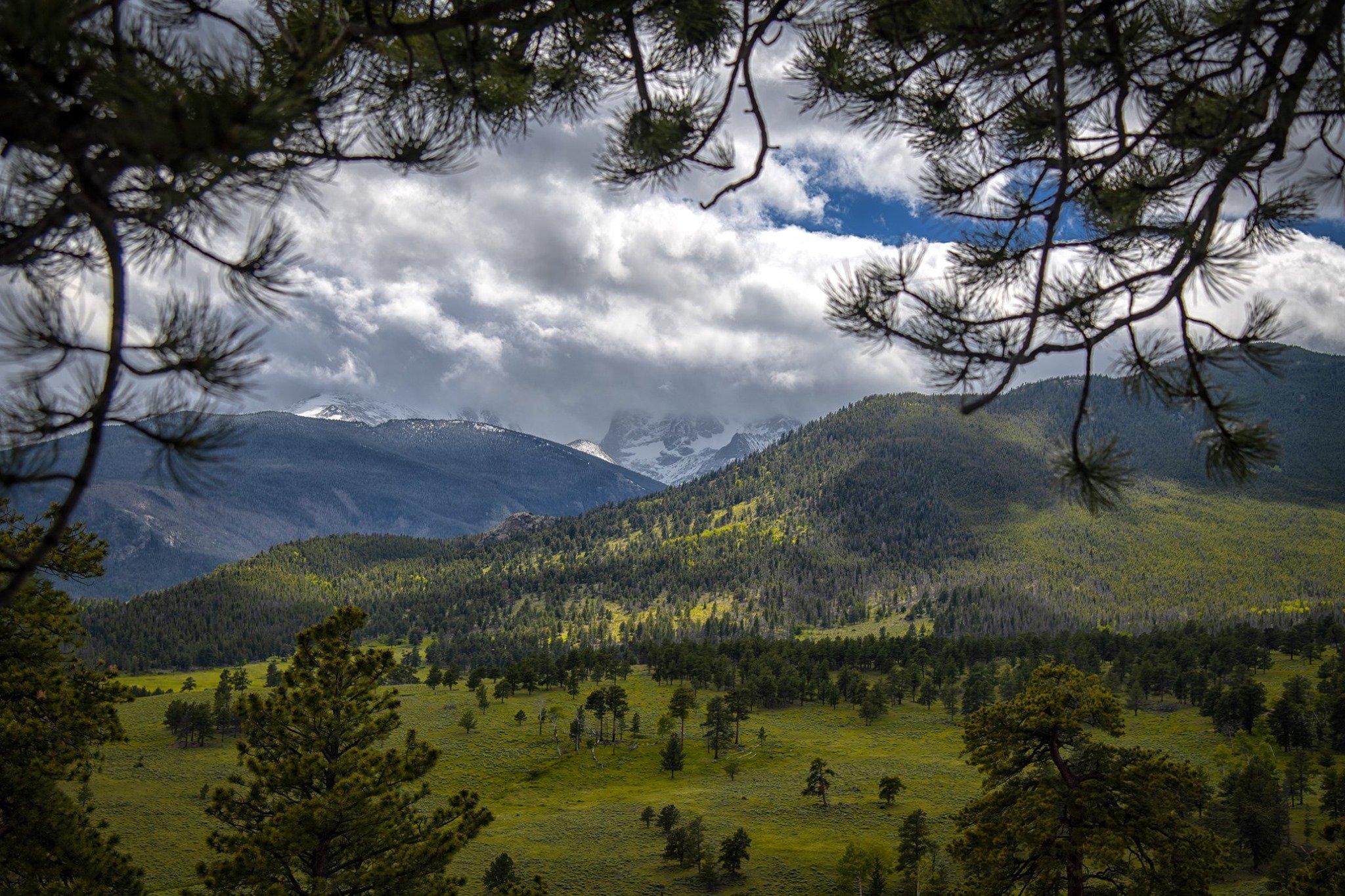 RMNP .jpg