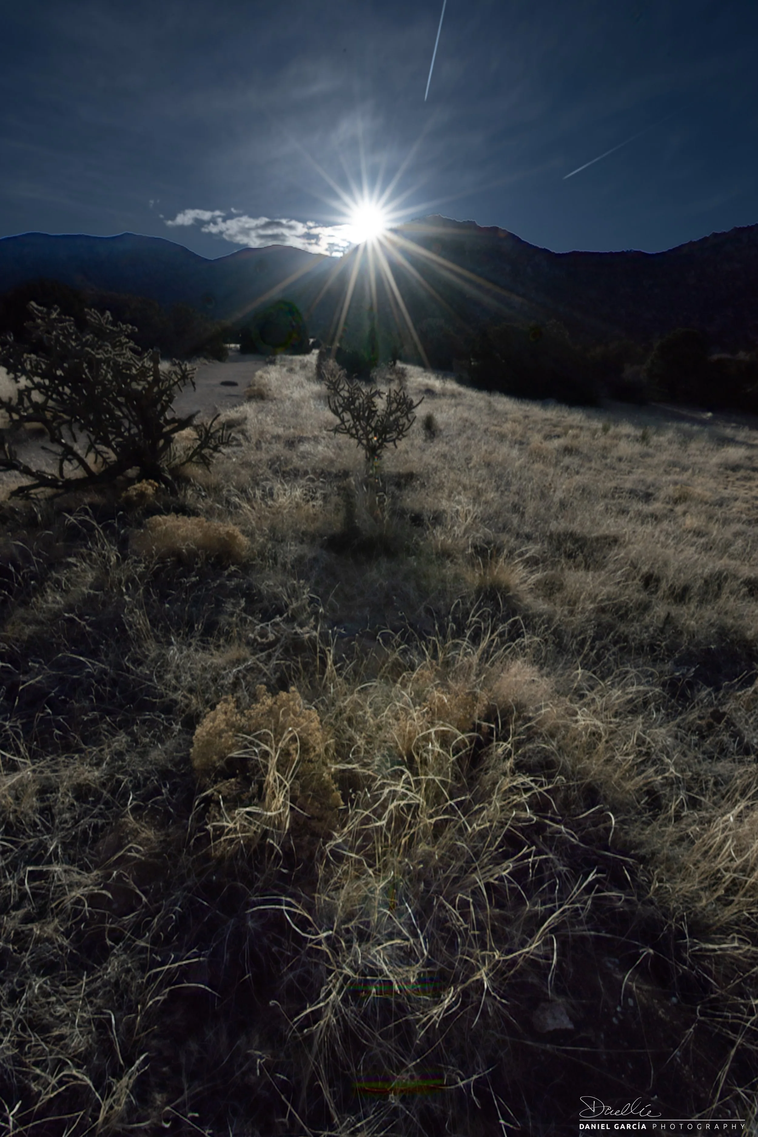 DSC_0381-3 First Rays.jpg