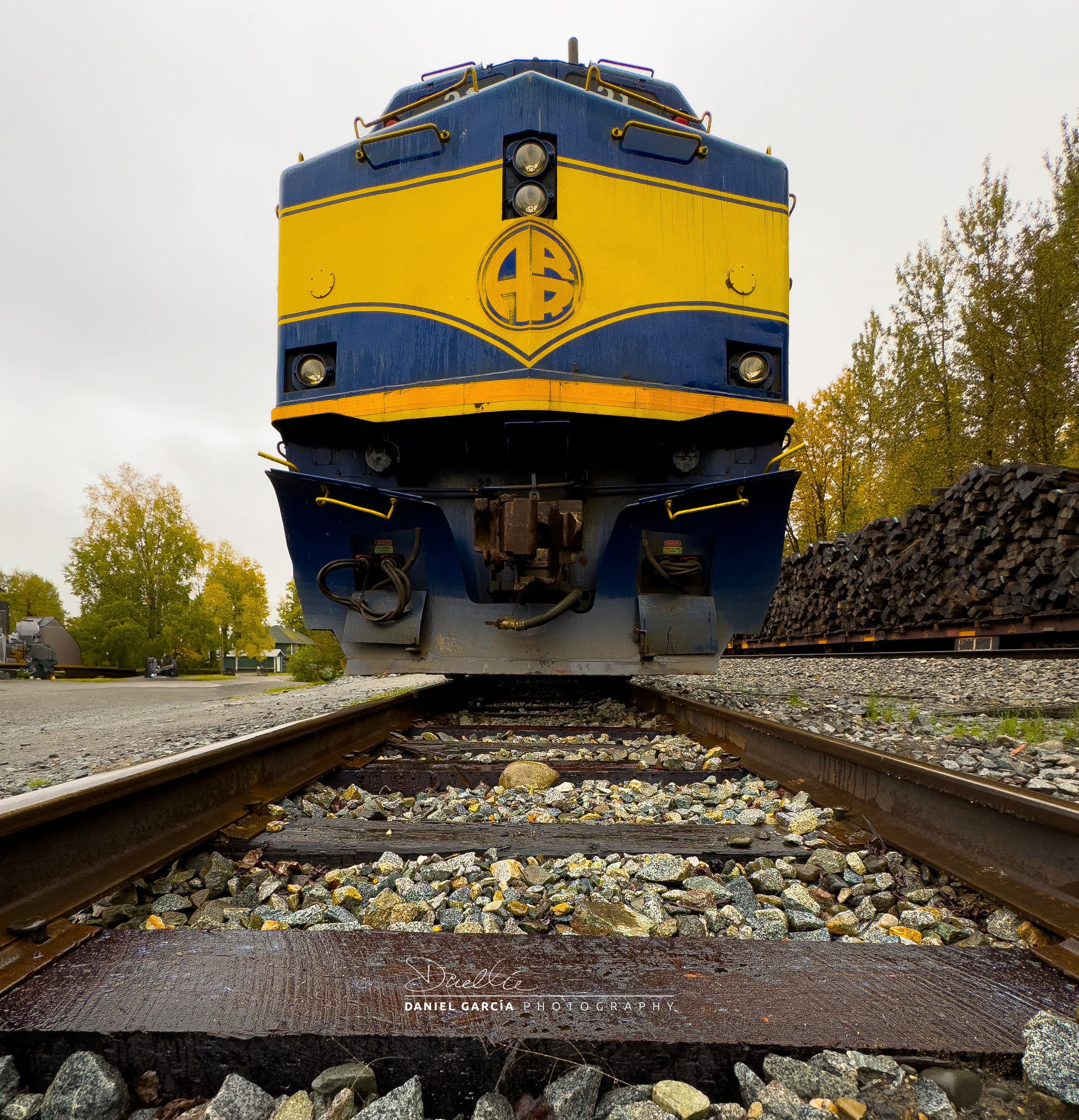 IMG_4808-1 Talkeetna Train Denali Star I.jpg