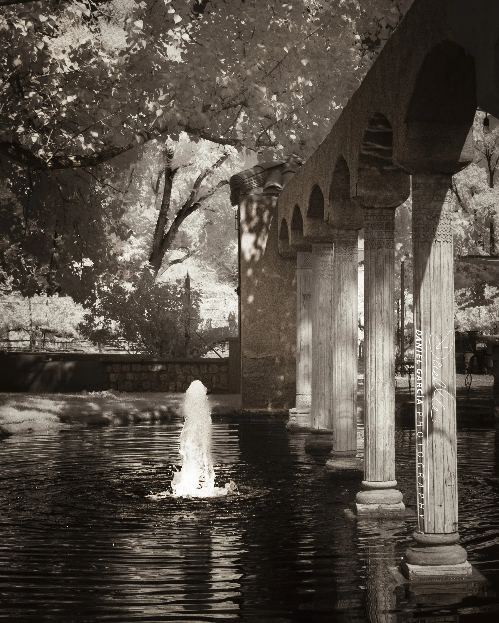 DSC_1437-1 Wellspring in Sepia.jpg