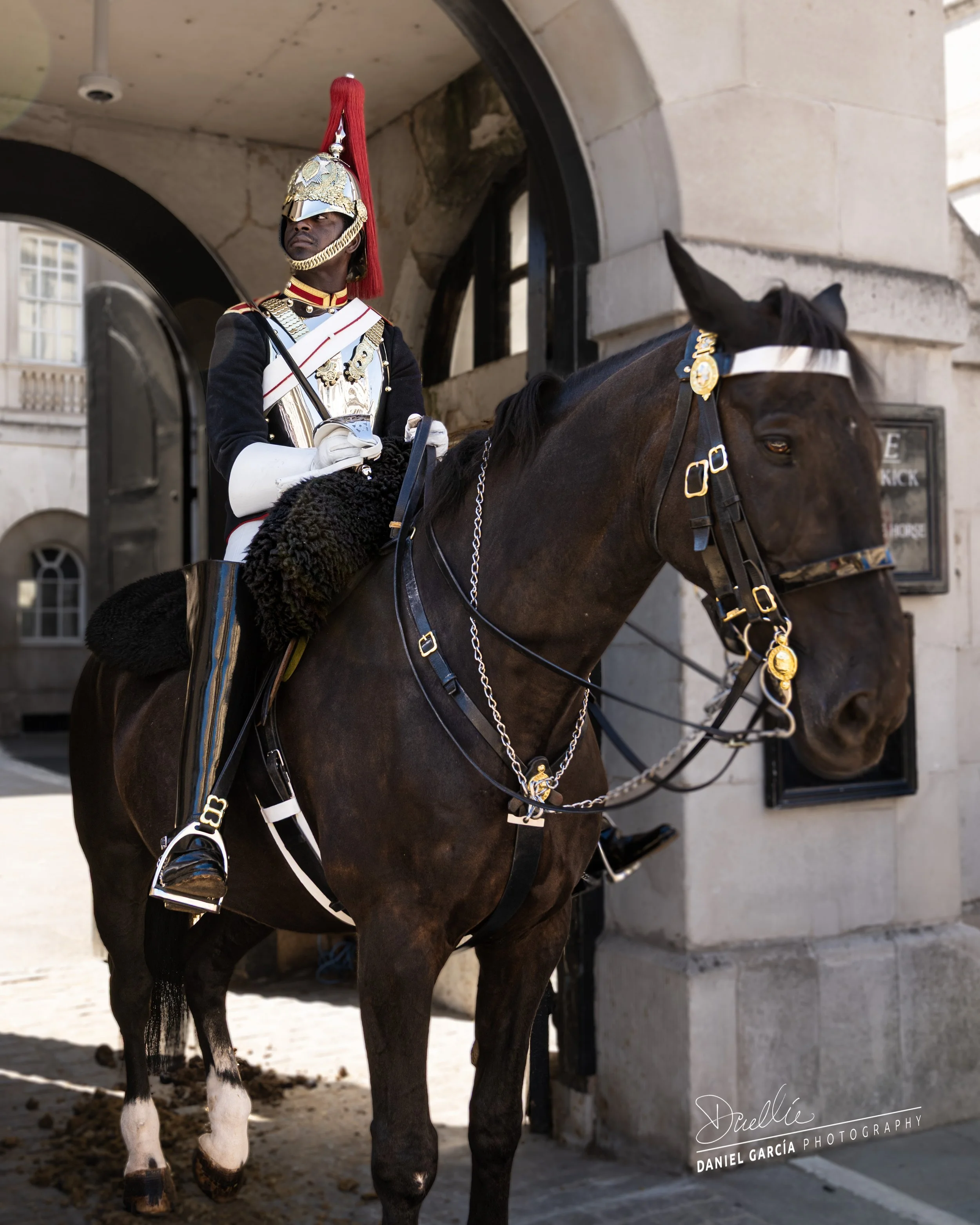DSC_5952-1 Standing Duty at Royal Horse Guards.jpg
