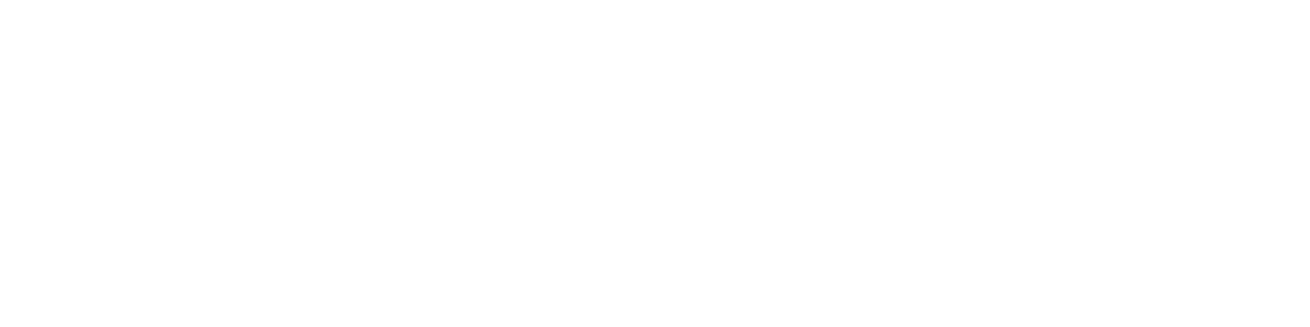 DATAVISION Consulting