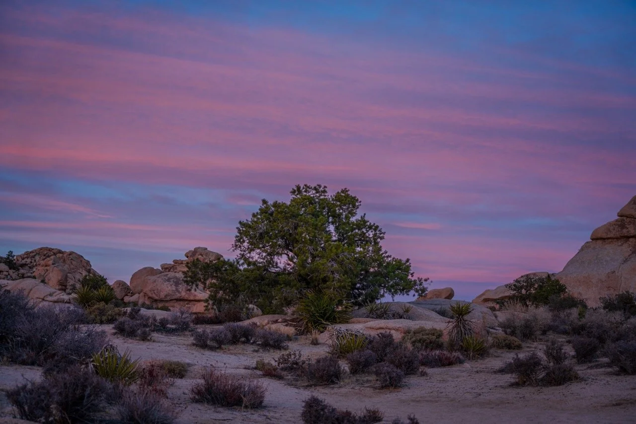 DSC05785-HDR Large.jpeg