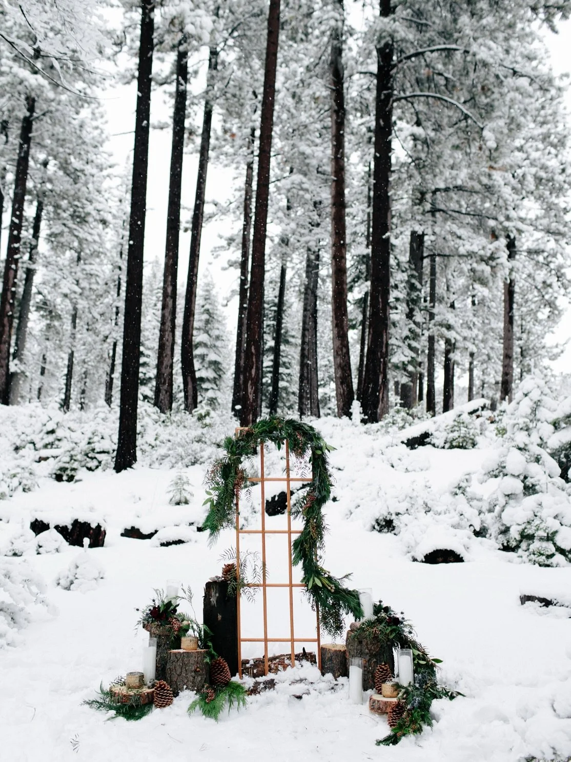 Merry Christmas and happy holidays to all! We have big plans for 2026 but are currently taking time to reflect and rest. See you all in the new year! ✨🎄