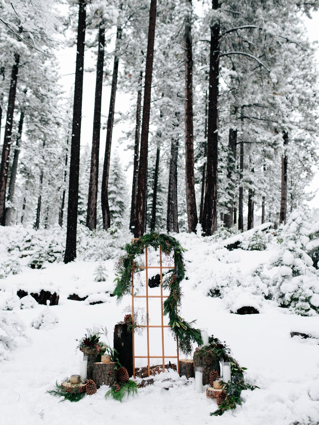 Merry Christmas and happy holidays to all! We have big plans for 2026 but are currently taking time to reflect and rest. See you all in the new year! ✨🎄