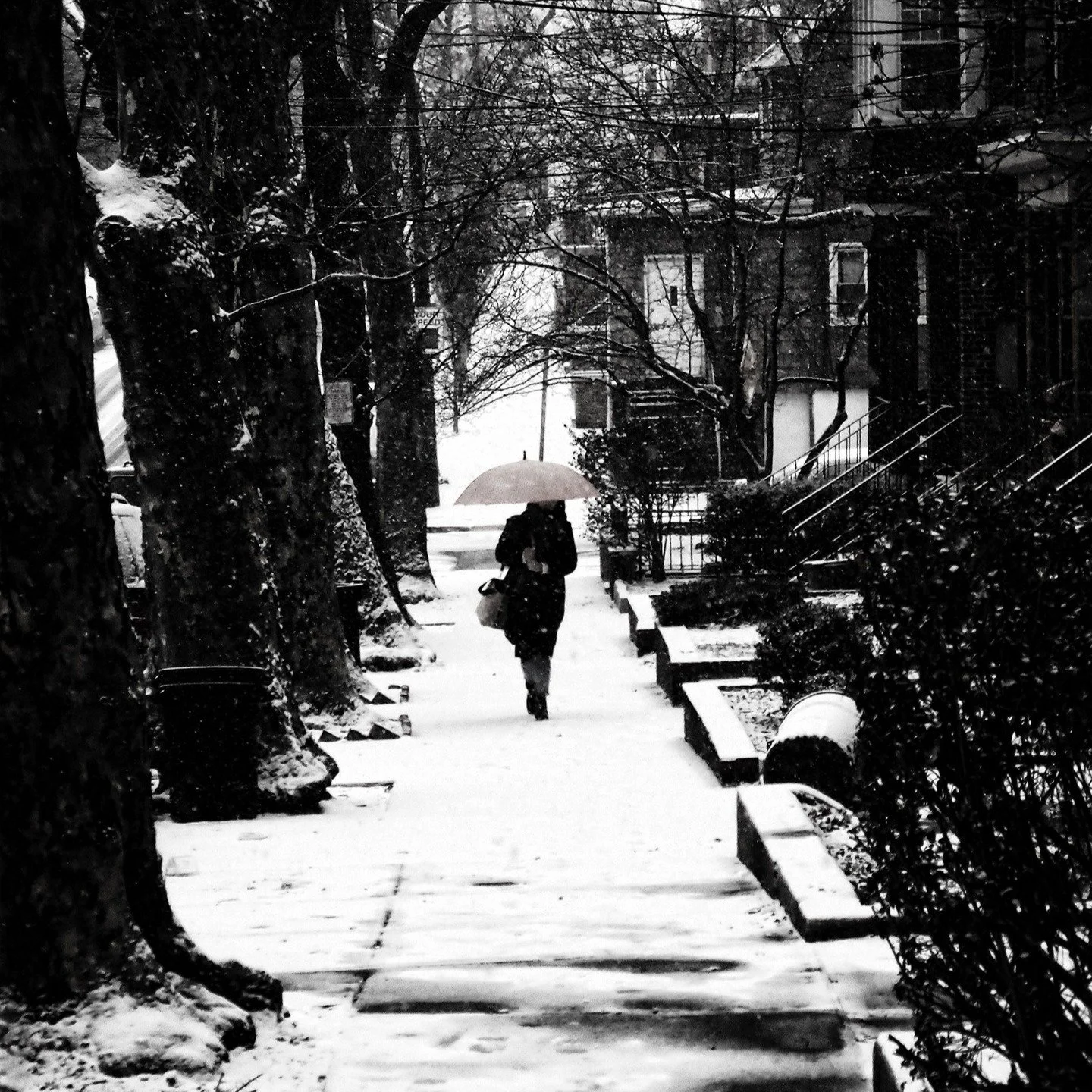 A taste of what's to come .... 

#newyorkcity #nyc #manhattan #streetphotography #photography #canonphotography #shotoncanon 
#blackandwhite #blackandwhitephotography #snow
