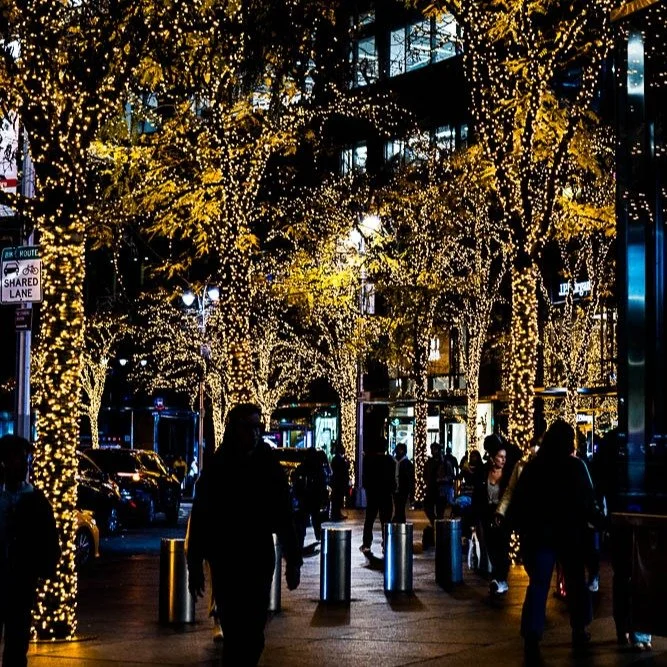 Christmas in New York City

#newyorkcity #nyc #manhattan #streetphotography #photography #canonr #canonphotography #shotoncanon #christmas