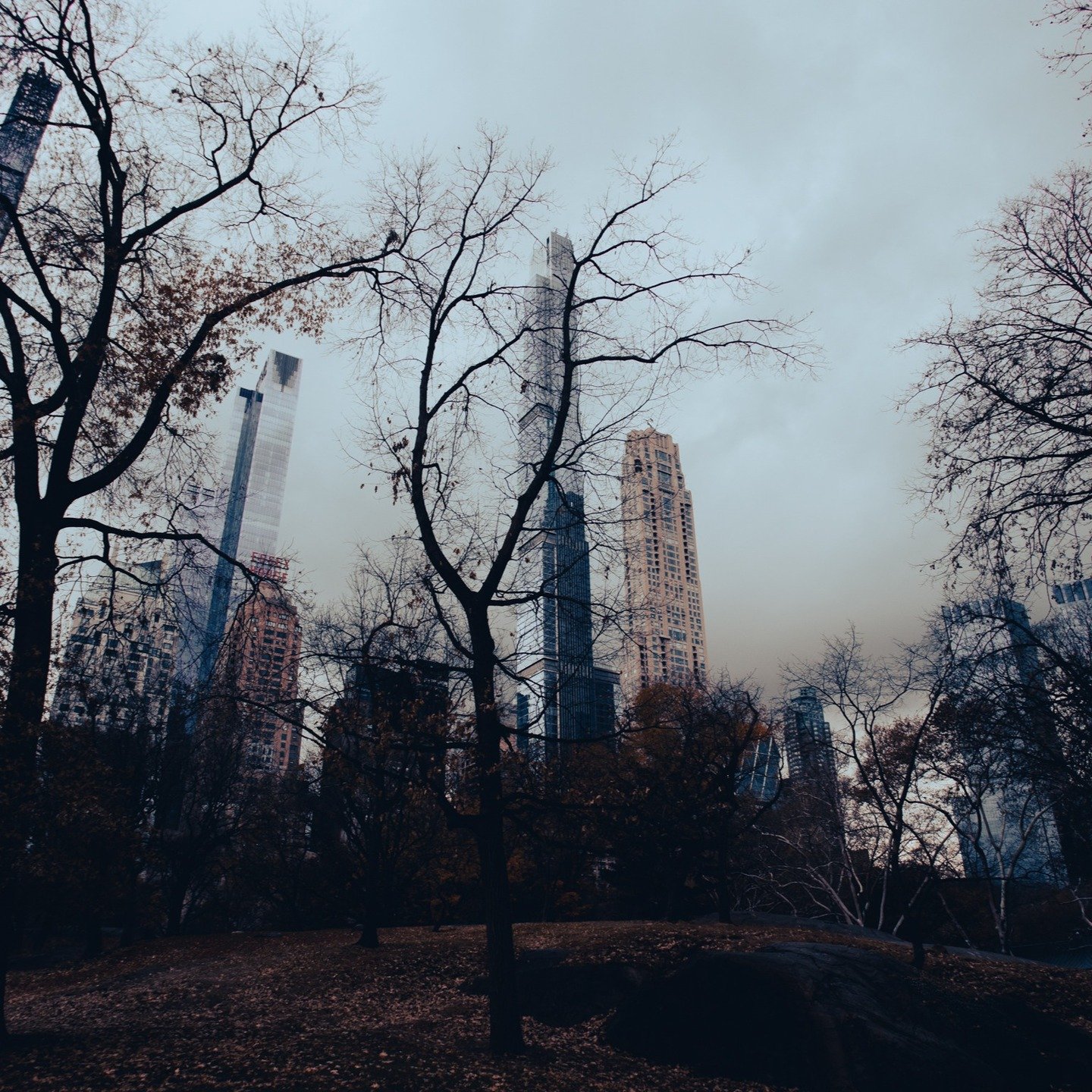 Central Park, New York City.

#newyorkcity #nyc #manhattan #streetphotography #photography #canonr #canonphotography #shotoncanon