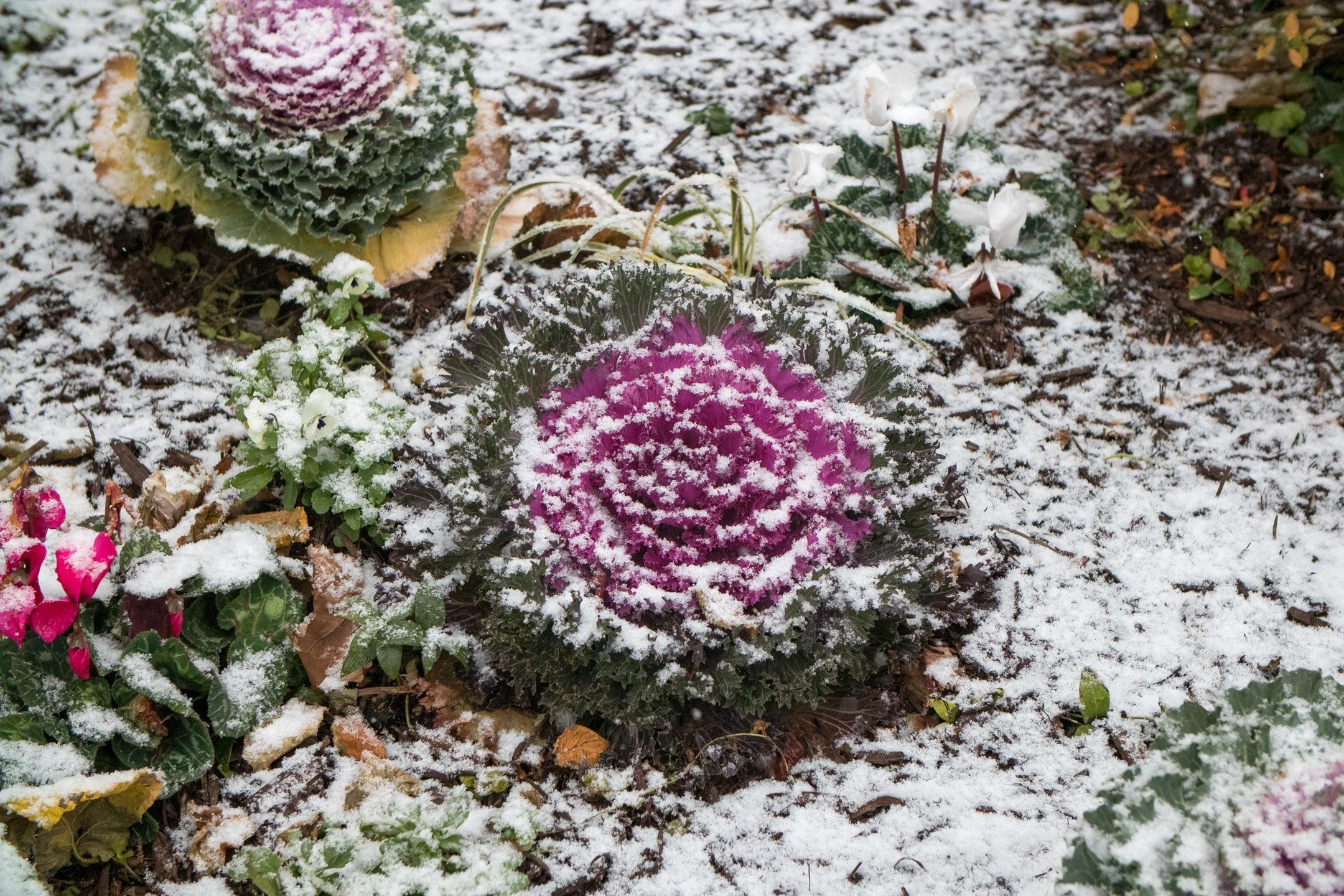 Some snow flurries the other night.

#canonphotography #shotoncanon #canonm50 #photography #streetphotography #winter #snow #nj #newjersey