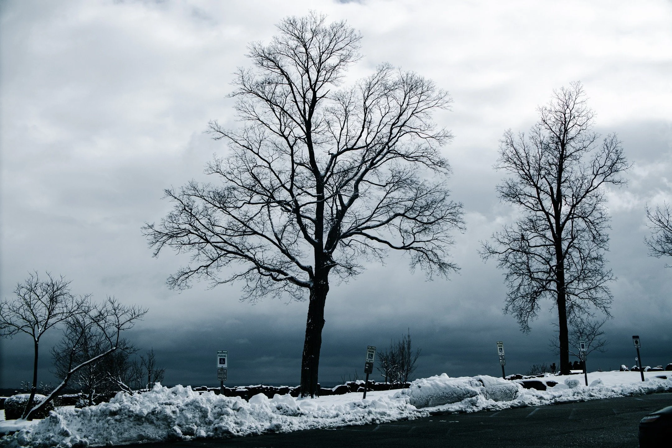 Waiting for that first snow ...

#canonphotography #shotoncanon #canonm50 #photography #snow #nj #newjersey #pallisades #pallisadesnj #pallisadesnewjersey