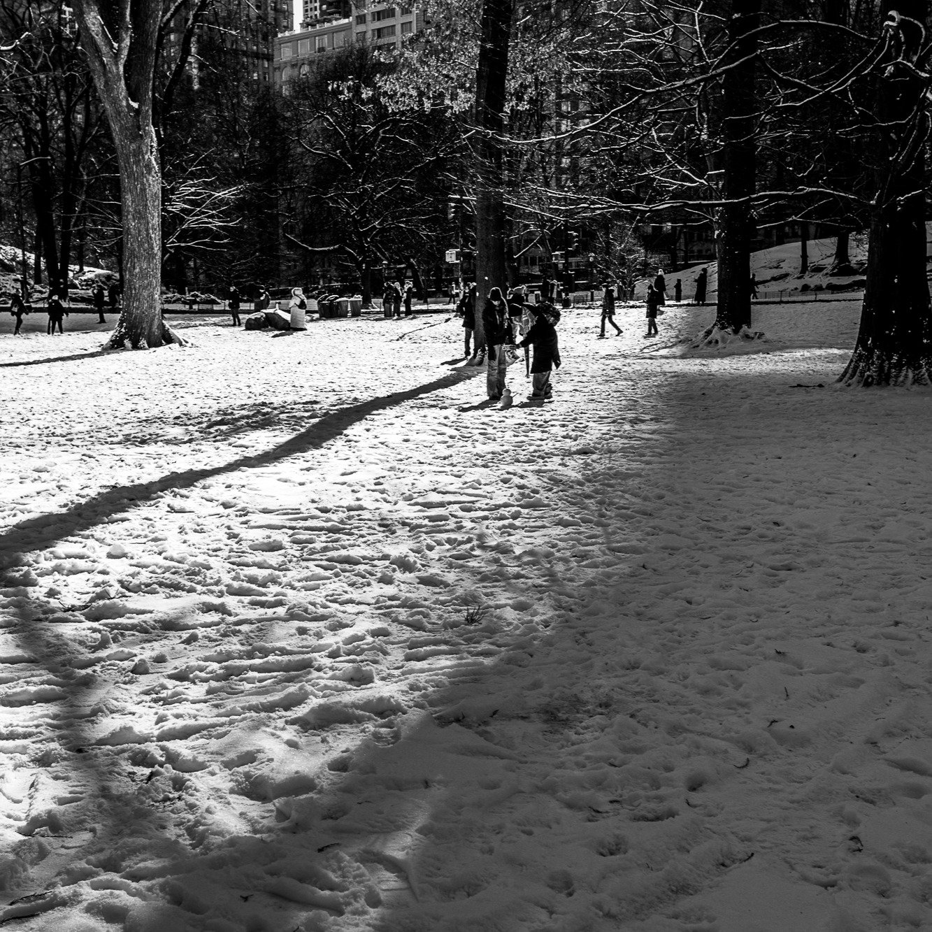 Snow day in Central Park, New York City

#newyorkcity #nyc #manhattan #streetphotography #photography #canonr #canonphotography #shotoncanon 
#blackandwhite #blackandwhitephotography