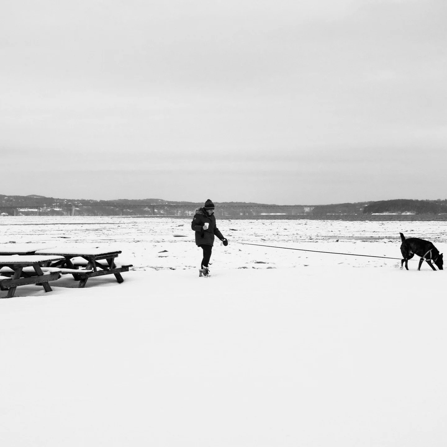 Cornwall on Hudson, New York from 2022.

#canonphotography #shotoncanon #canonm50 #photography #travelphotography #snow #newyork #cornwallonhudson #cornwallnewyork #blackandwhite #blackandwhitephotography