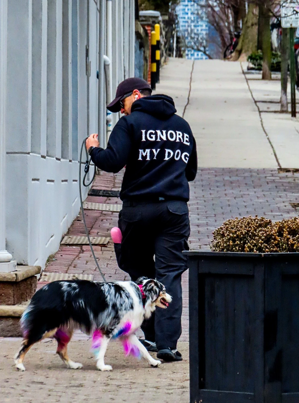 Coolest dog/human in my town. If you're obsessed with the latest gear look away. I shot this with my trusty old Canon Powershot SX740HS released in 2018. If I didn't tell you that would you even know?

#canonphotography #shotoncanon #canonsx740hs #ph