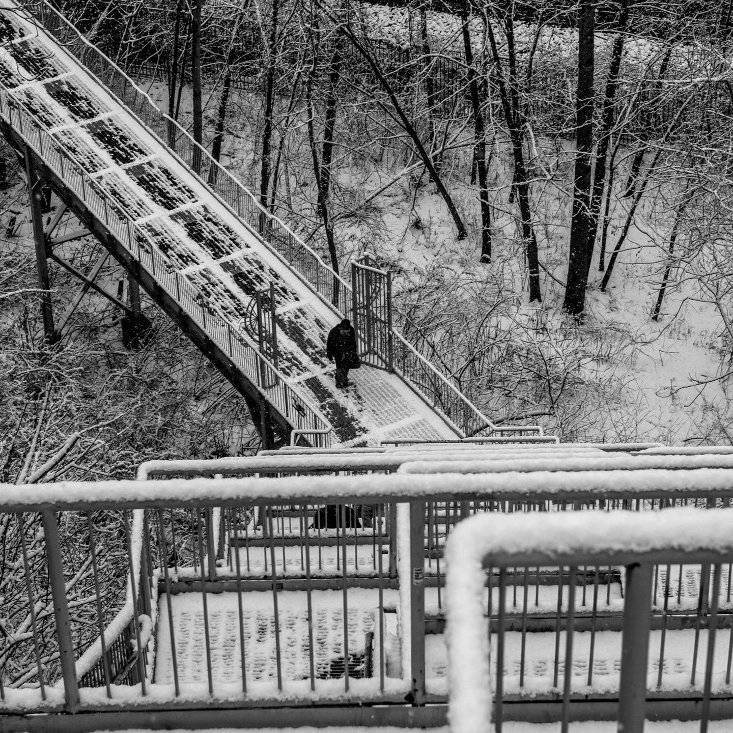 THE LONELY WALK
Weather man is predicting snow this weekend. I hope so!

#canonphotography #shotoncanon #photography #streetphotography #snow #canonm50 #blackandwhite #blackandwhitephotography #nj #newjersey