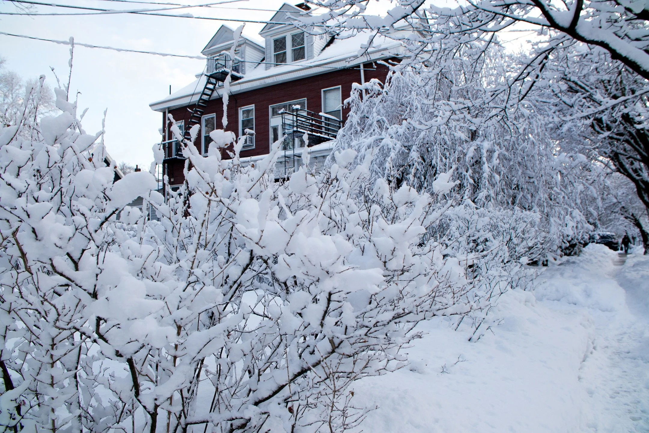 From the winter of 2021 ... snow! Yes I took photos of today's snow but I had a really stressful week and needed to chill. I just couldn't bring myself to pry the photos from my memory card.

#canonphotography #shotoncanon #canonm50 #photography #str