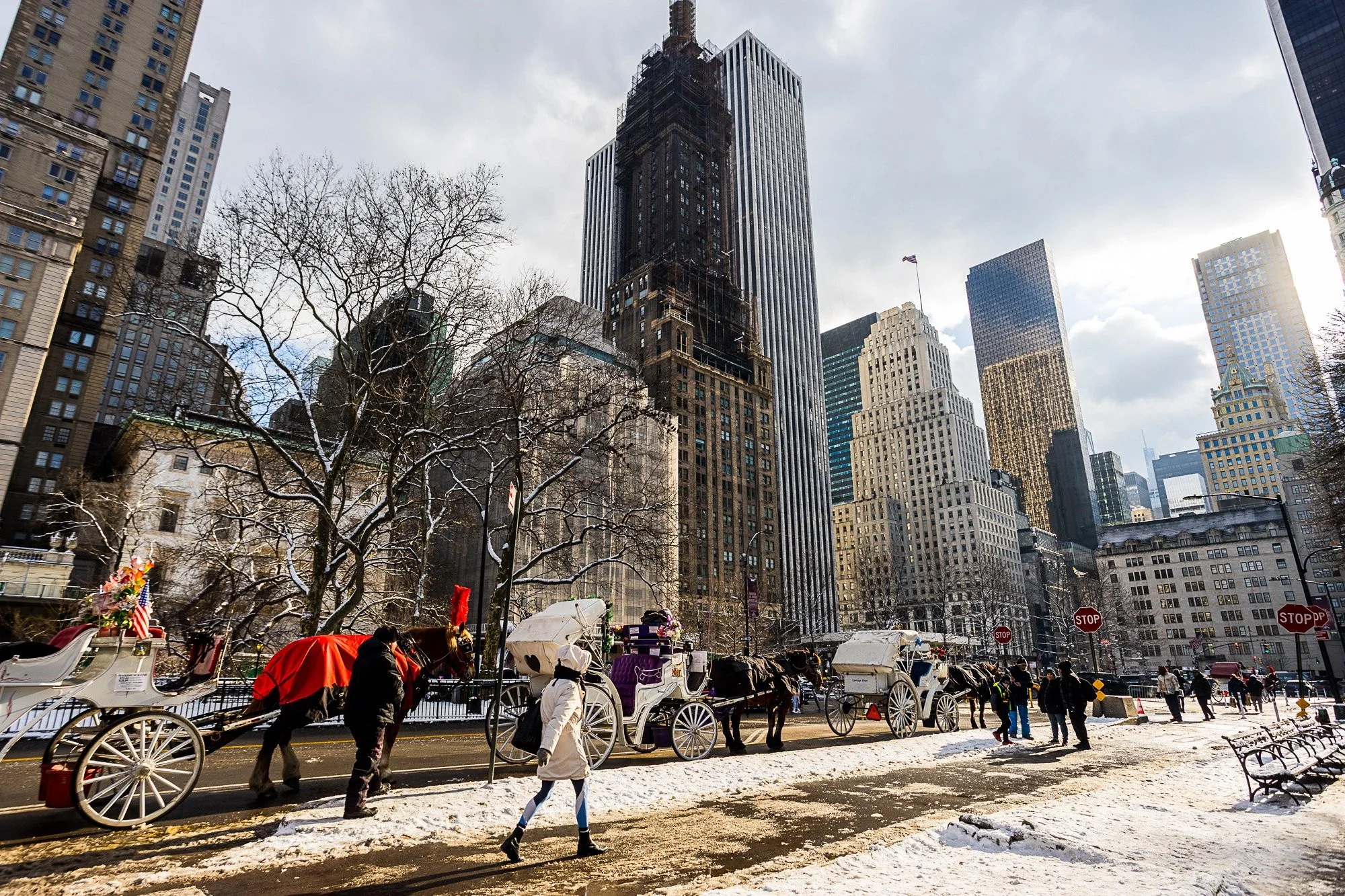 Central Park, New York City.

#newyorkcity #nyc #manhattan #streetphotography #photography #canonr #canonphotography #shotoncanon