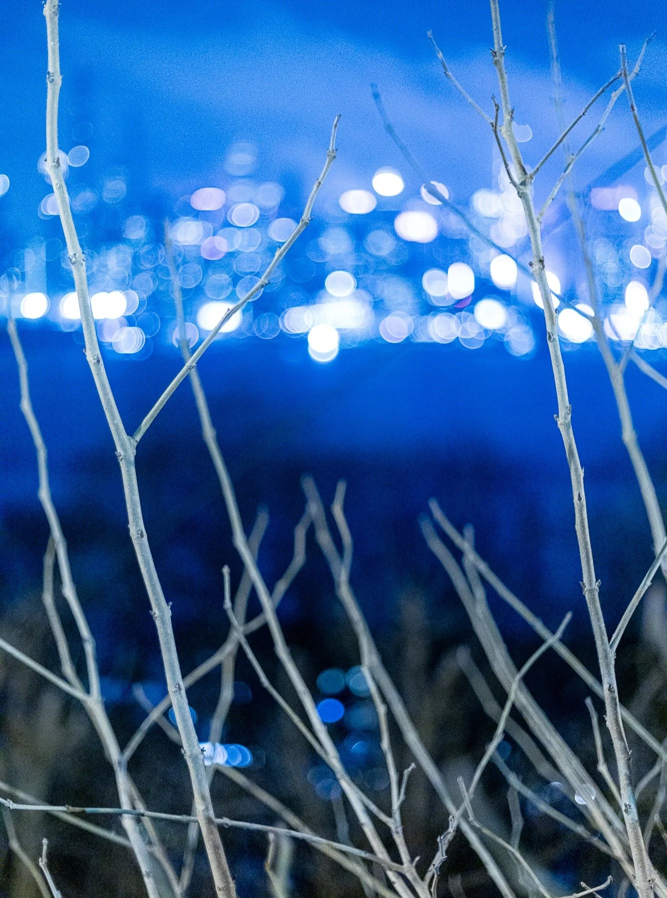 A cold winter view of the Manhattan skyline from Weehawken, New Jersey.

#canonphotography #shotoncanon #canonr #photography #streetphotography #nj #newjersey #weehawken #bokeh #manhattan #nyc #newyorkcity #newyork