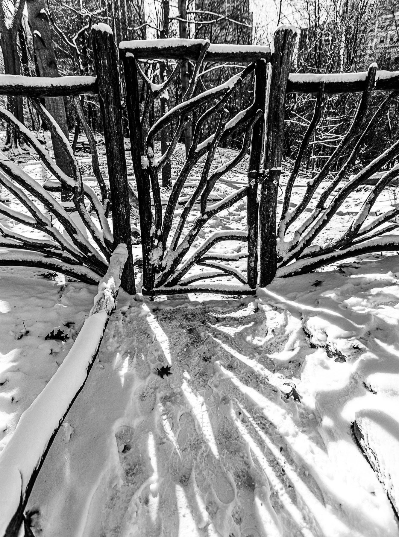 Central Park, New York City.

#newyorkcity #nyc #manhattan #canonphotography #shotoncanon #canonr 
#blackandwhite #blackandwhitephotography #photography #snow #centralpark
