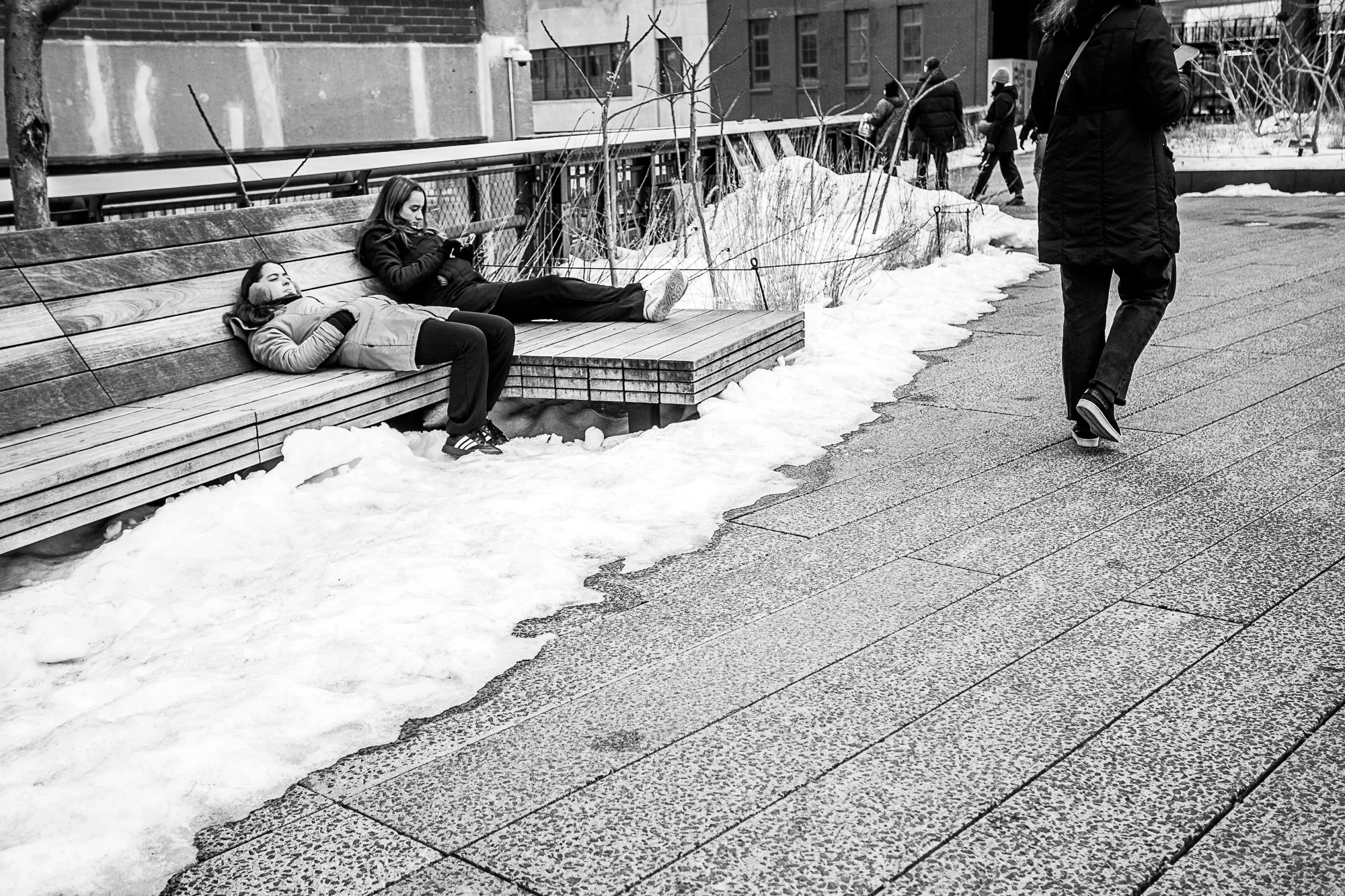 Up on the Highline, New York City.

#newyorkcity #nyc #manhattan #streetphotography #photography #canonr #canonphotography #shotoncanon 
#blackandwhite #blackandwhitephotography