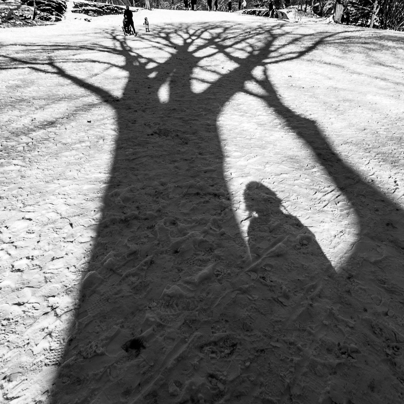 Central Park, New York City.

#newyorkcity #nyc #manhattan #canonphotography #shotoncanon #canonr
#blackandwhite #blackandwhitephotography #photography #snow #centralpark