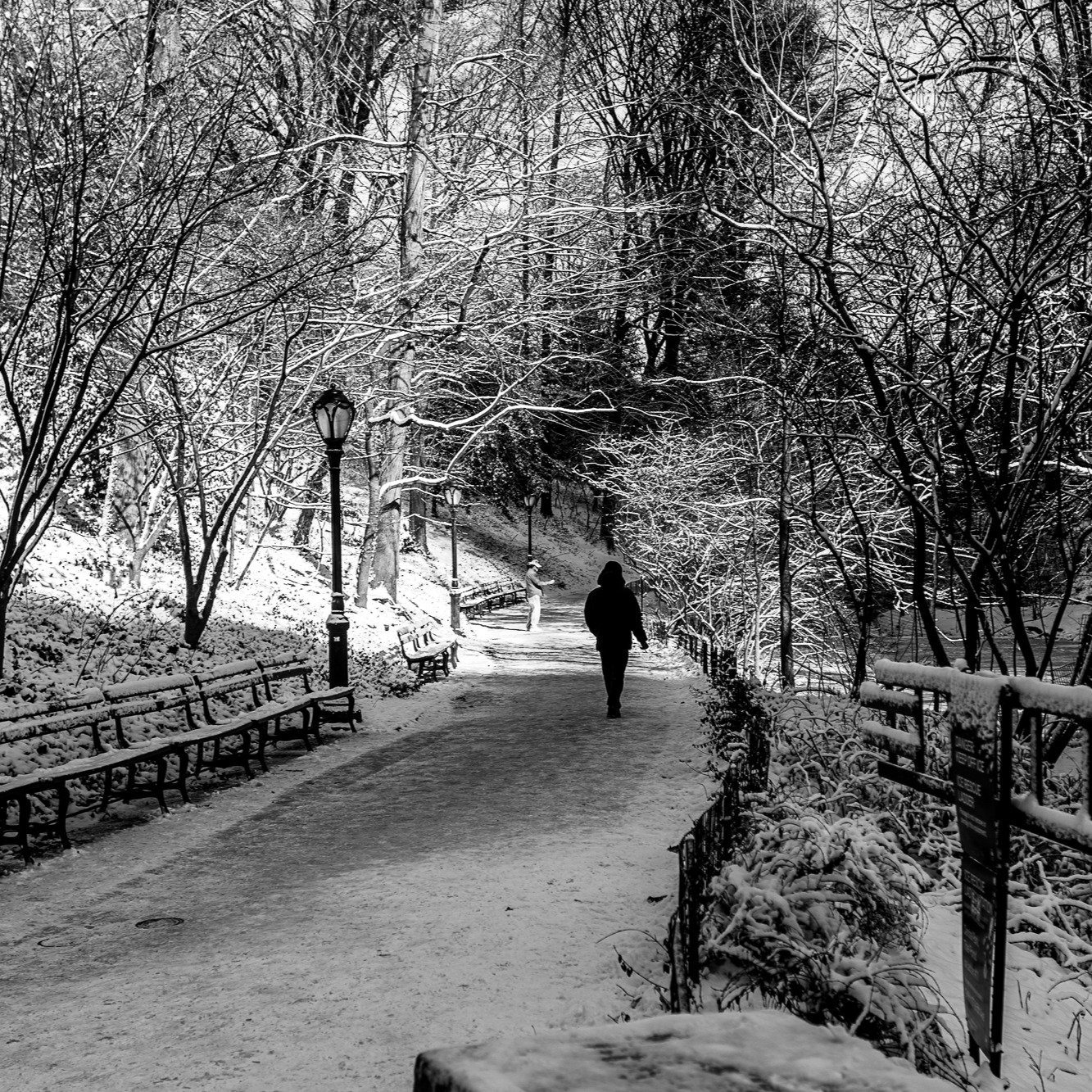 Central Park, New York City: Not having a fun morning. My trusty old Canon EF 24-70mm f2.8 II lens is acting fussy and throwing an ERR01 error. Not sure if can be fixed but I did look at new ones and nearly vomited. $2200 for something that was $1600