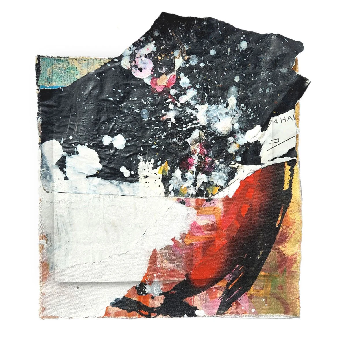 16x16-filly-for-sale-cropped.jpg