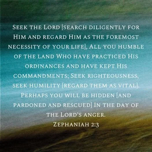 Seek, Seek, Seek…